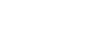 logo BORZ